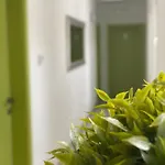 Pansion Focin 4* Sarajevo