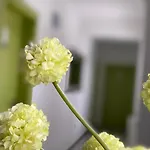 Guest house Pansion Focin Sarajevo