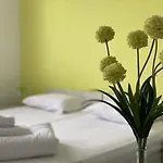 Guest house Pansion Focin