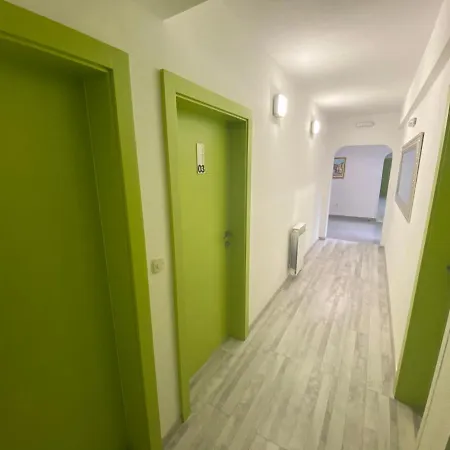 Casa de hóspedes Pansion Focin 4*