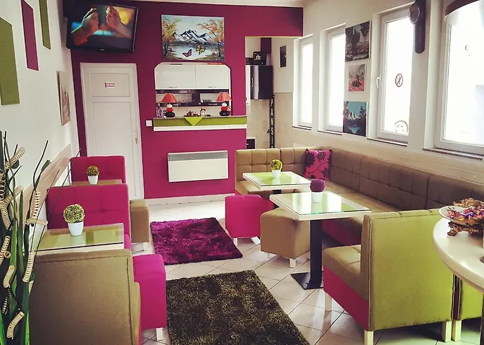 Guest house Pansion Focin 4*