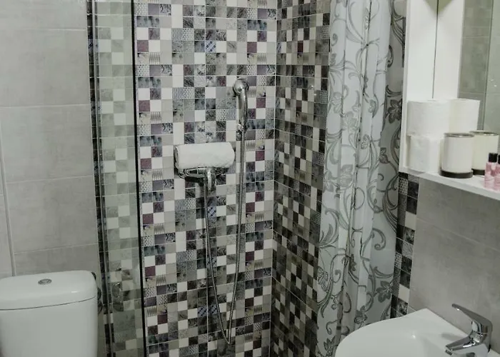 Pansion Focin Guest house 4*