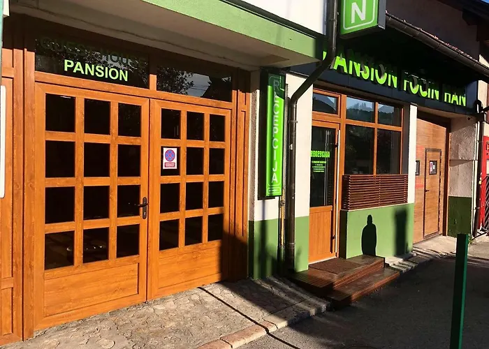 Guest house Pansion Focin