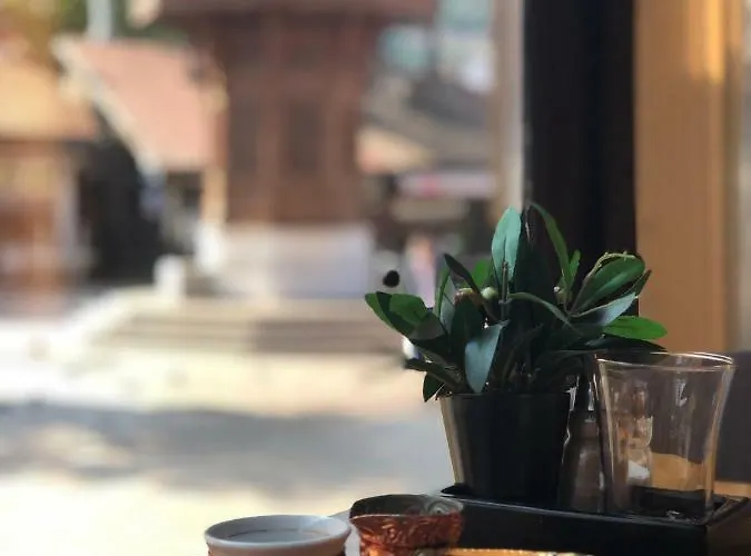 Pansion Focin 게스트하우스 사라예보