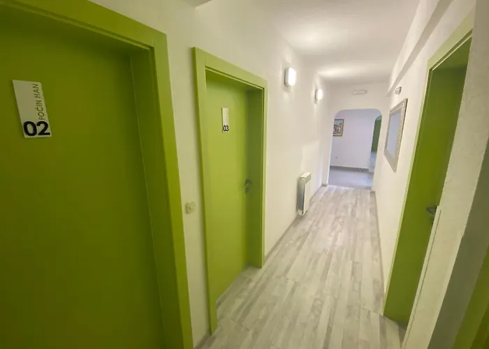 Guest house Pansion Focin 4*