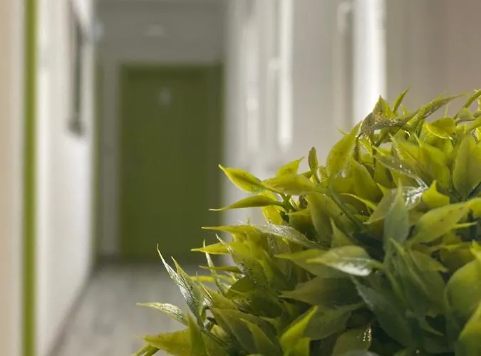 Pansion Focin Guest house 4*