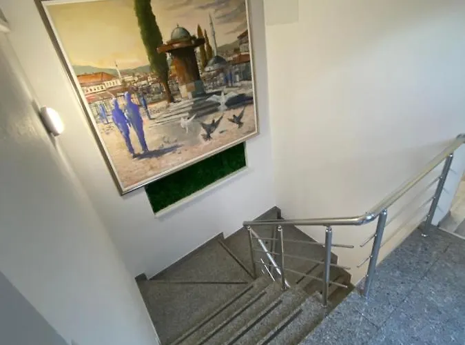 Pansion Focin Guest house