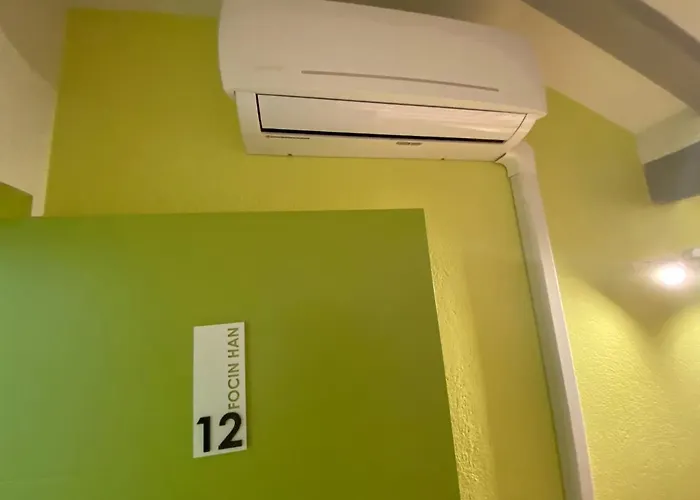 Guest house Pansion Focin 4*