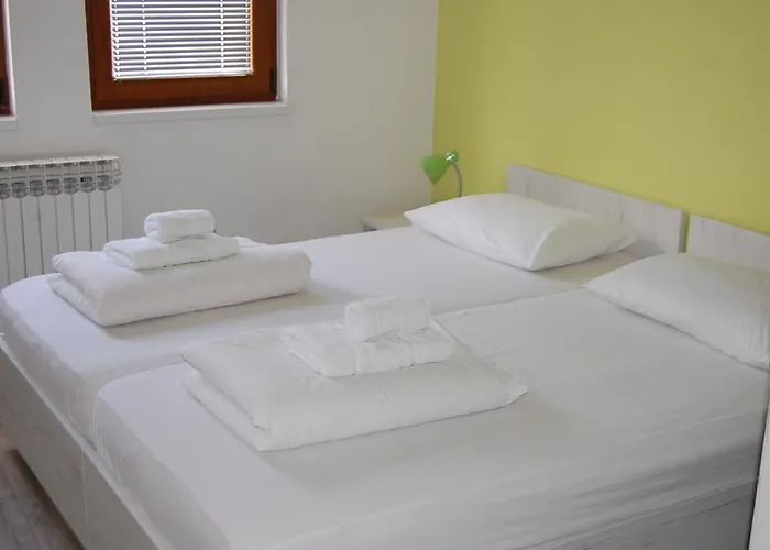 Pansion Focin Guest house