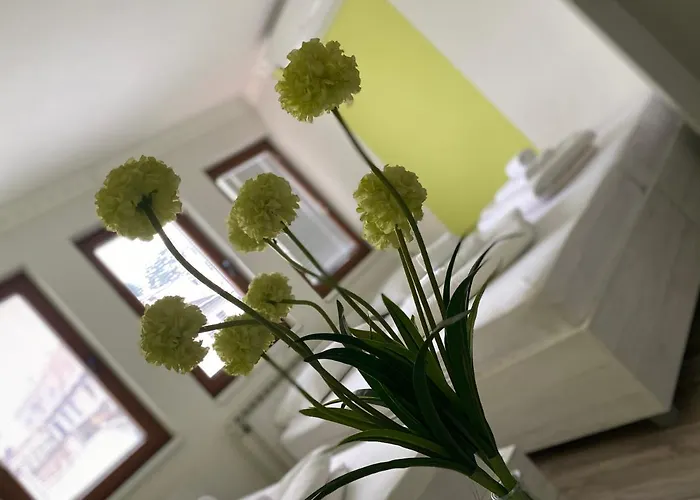 Pansion Focin 4* Sarajevo