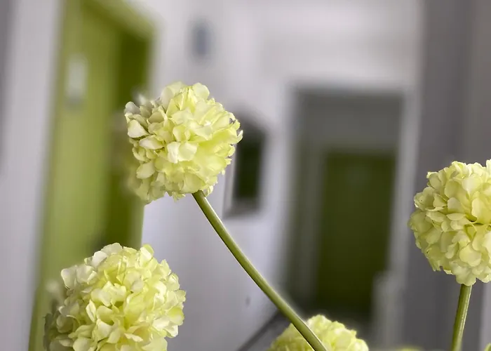 Penzion Pansion Focin Sarajevo