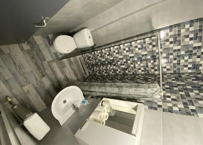 Pansion Focin Guest house 4*