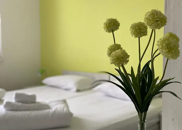 Guest house Pansion Focin